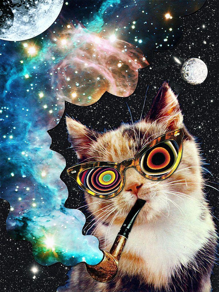 Cat Hipster Collage Wallpapers - Top Free Cat Hipster Collage Backgrounds - WallpaperAccess