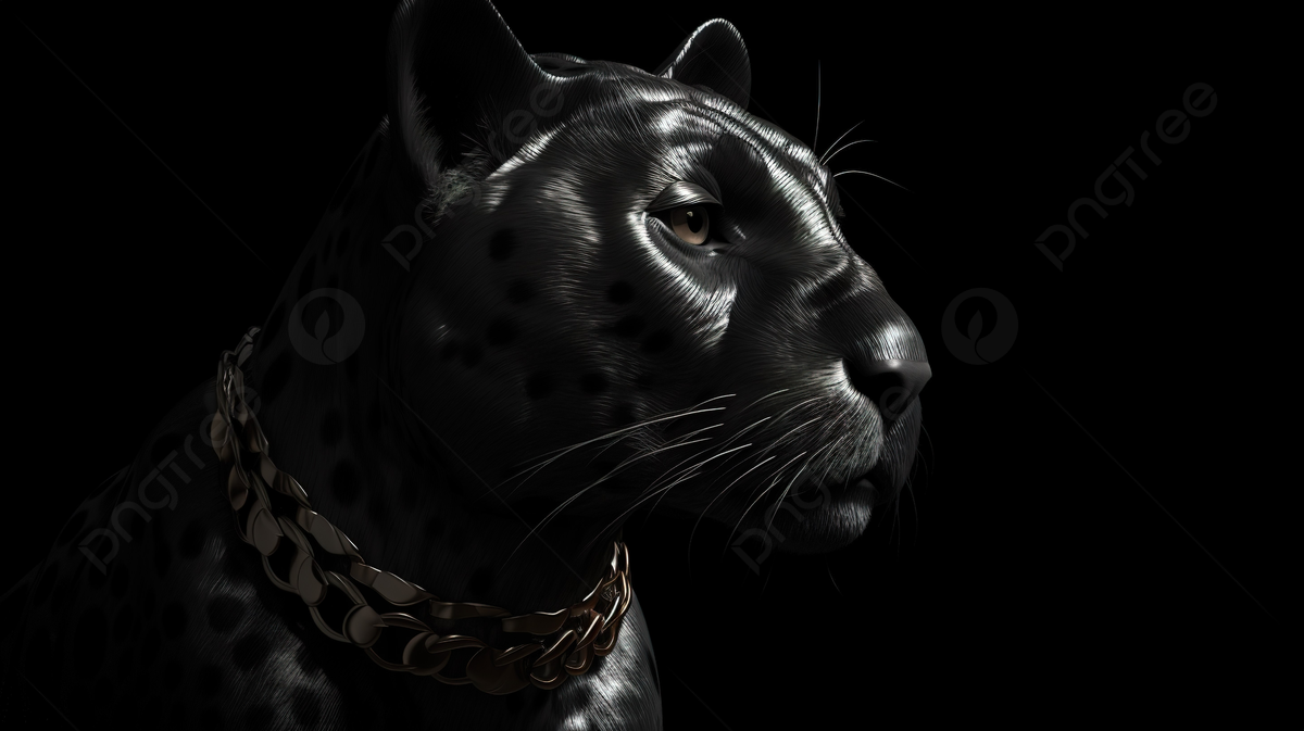 1200x673 Black Jaguar Walks With A Chain Necklace In Dark Background, 3D Illustration Black Panther Isolate On Black, HD Photography Photo, Panther Background Image And Wallpaper for Free Download