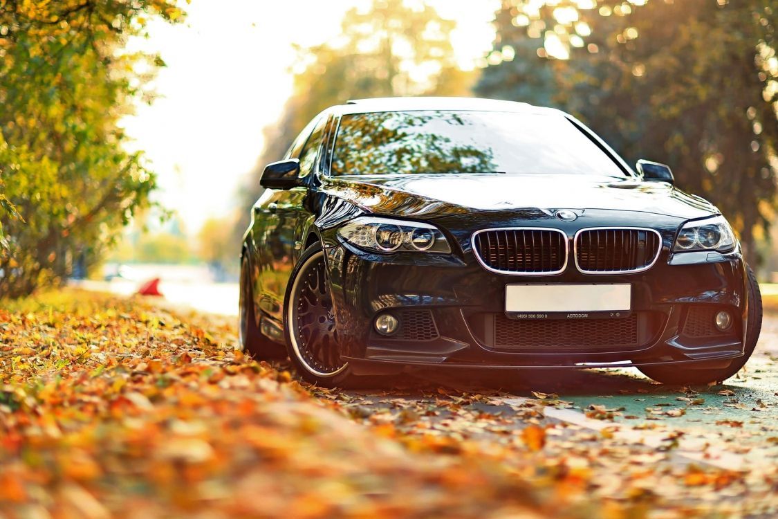 1125x750 Wallpaper Black Bmw Car on Brown Leaves, Background Free Image