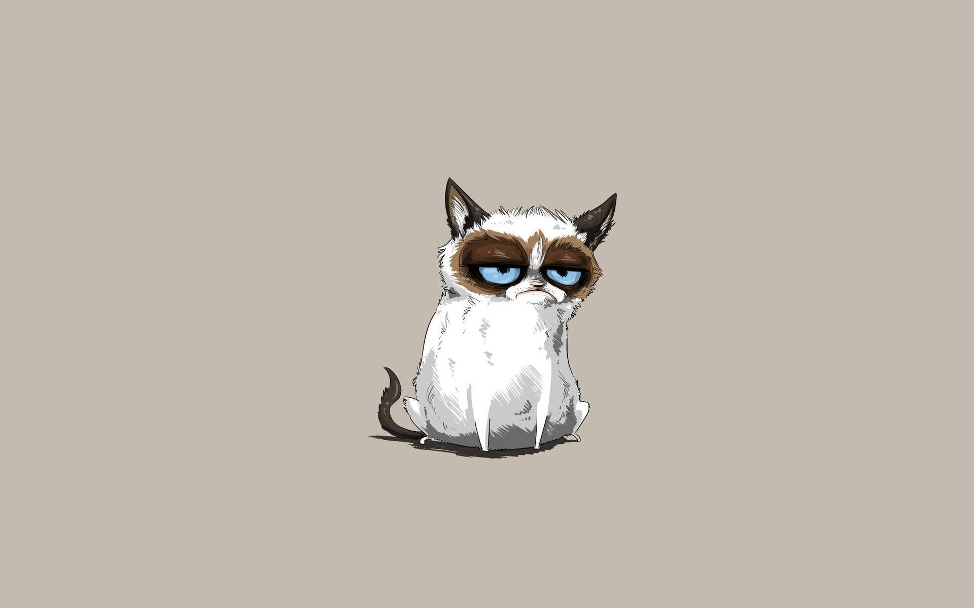 1920x1200 Grumpy Cat Wallpaper