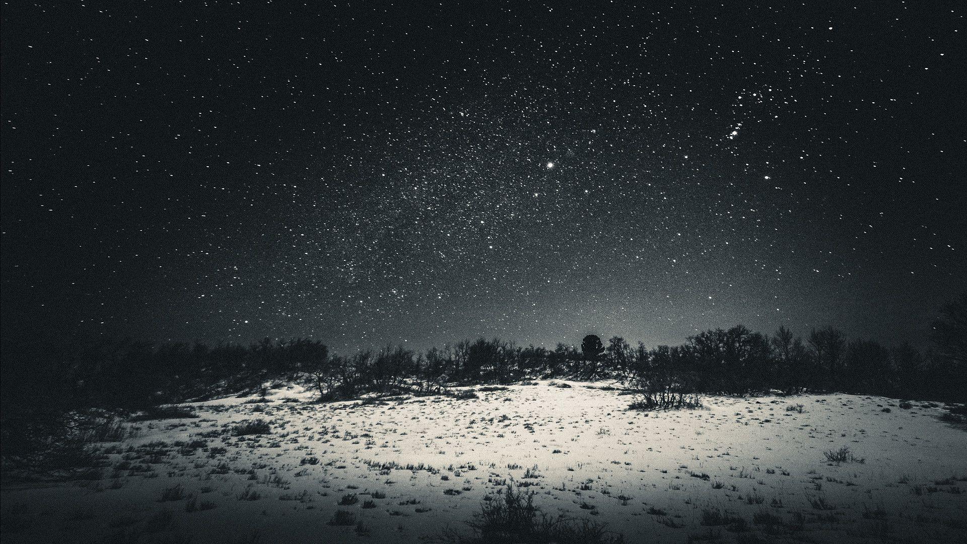 1920x1080 Night Sky Dark Star Lights Tree Nature iPhone 8 Wallpaper