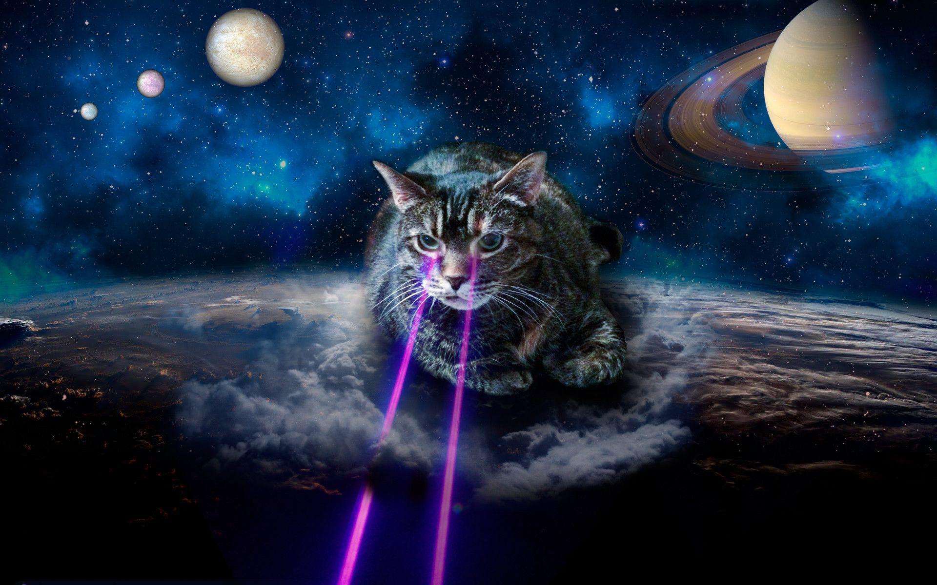 1920x1200 Kitty, Hit me with your laser beams