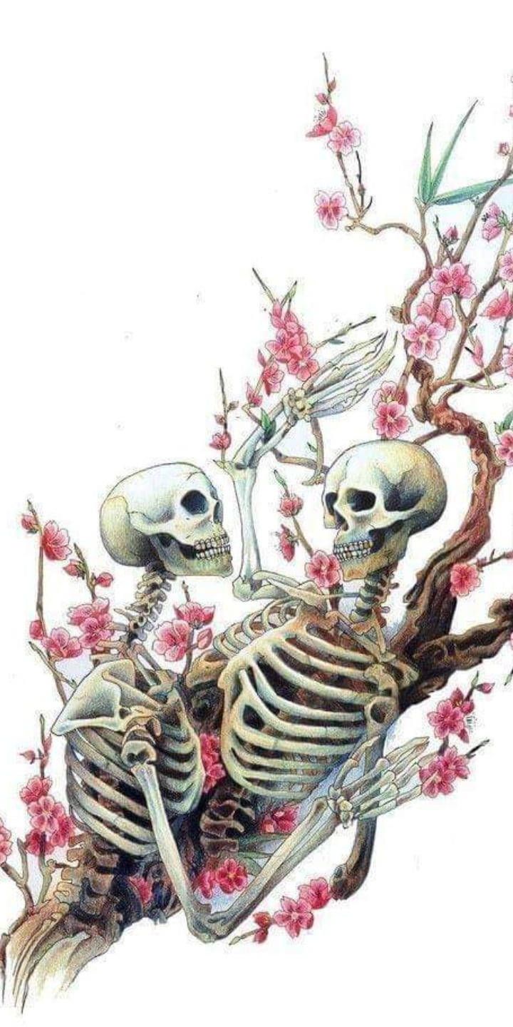 720x1440 Download Cute Skeleton iPhone Couple Wallpaper