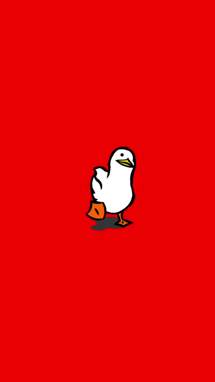720x1280 Walking Duck Wallpaper