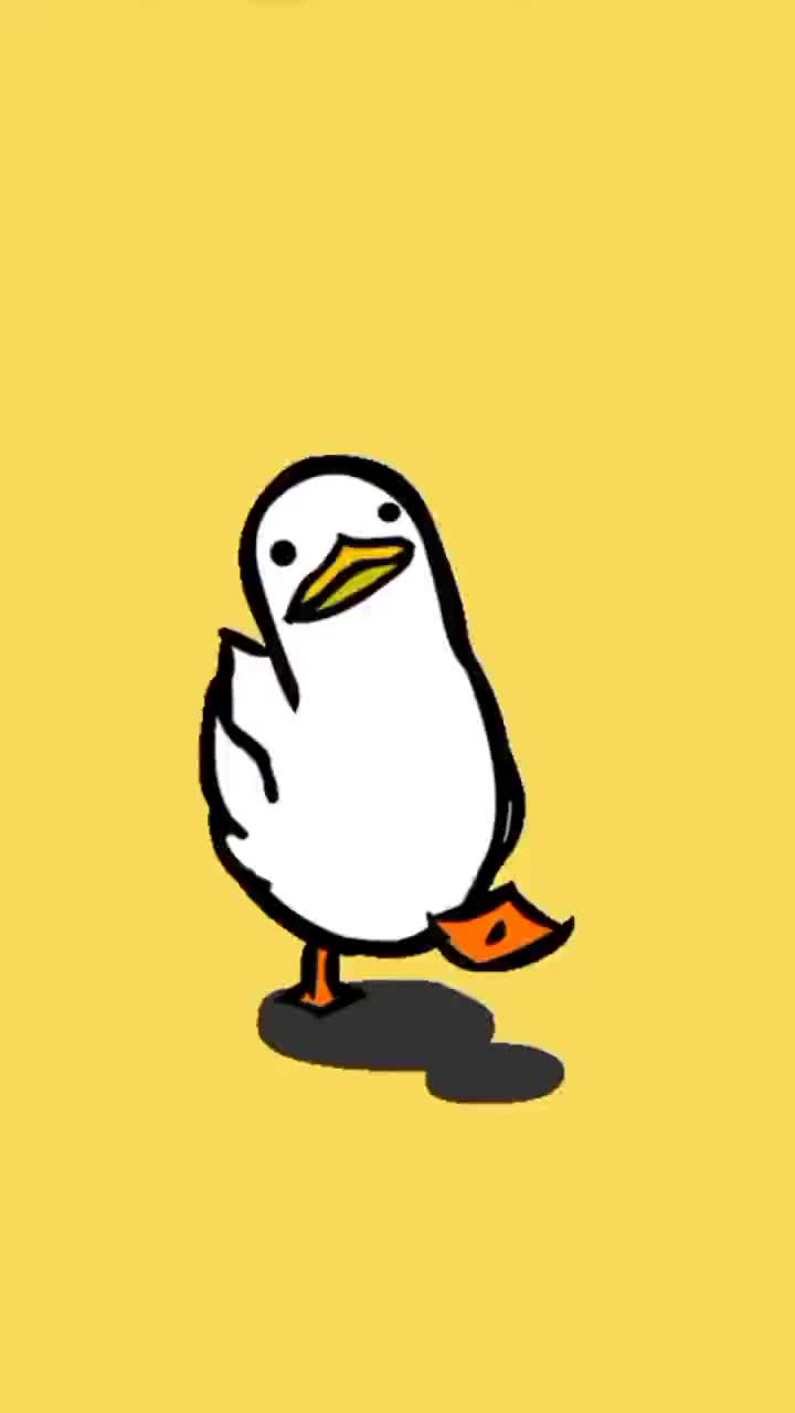 720x1280 Walking Duck Wallpaper