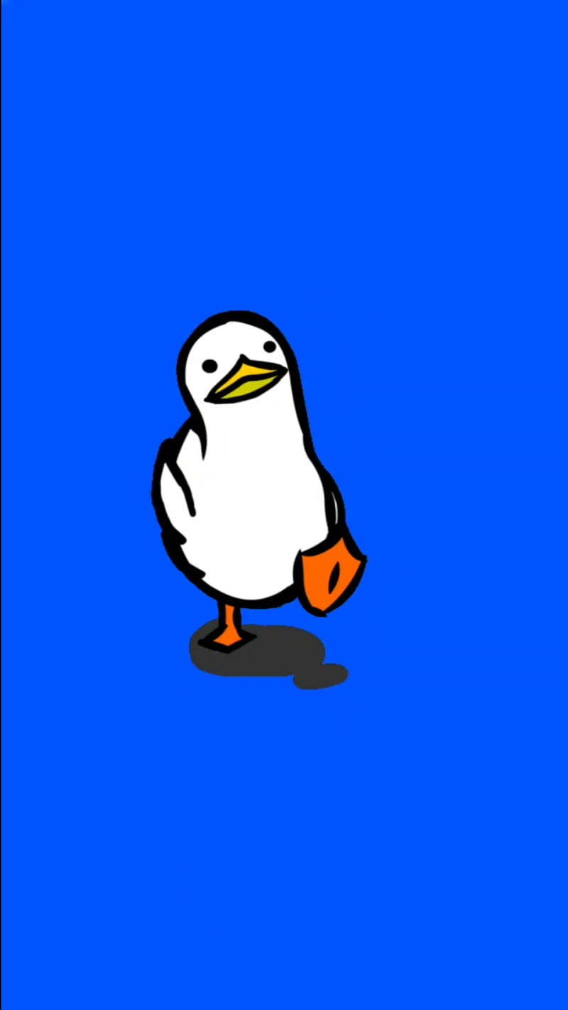 800x1422 Duck., blue, asthetic, duck, HD phone wallpaper