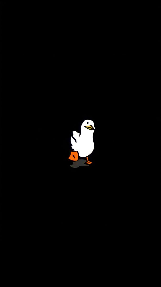 675x1200 Duck