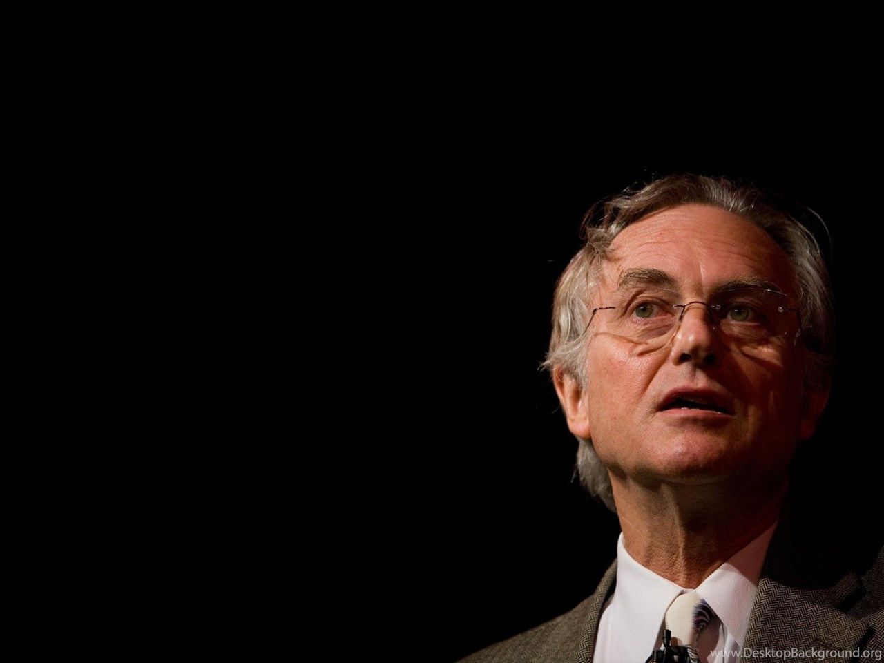 1280x960 Richard Dawkins Wallpaper