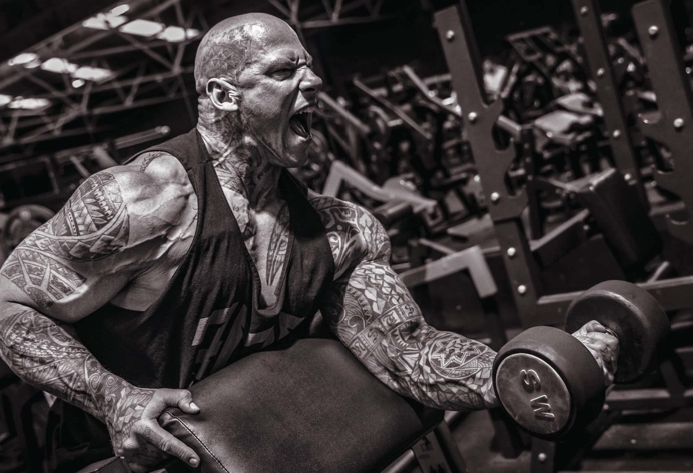 2301x1573 Martyn Ford Wallpaper