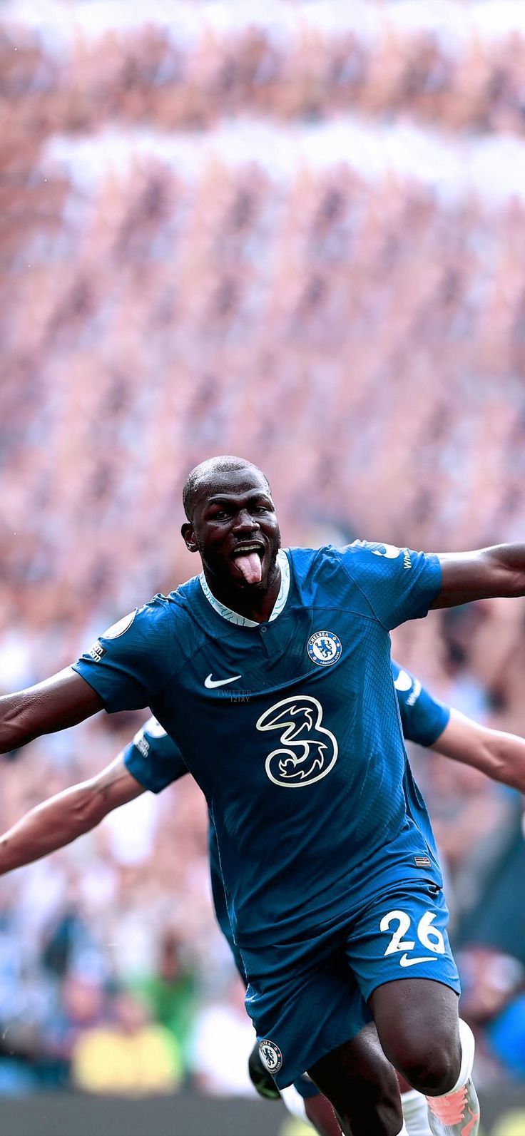 736x1593 Kalidou Koulibaly Wallpaper