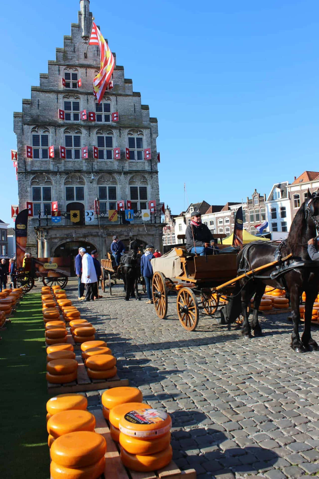 1280x1920 Download Gouda Cheese Market Netherlands Wallpaper