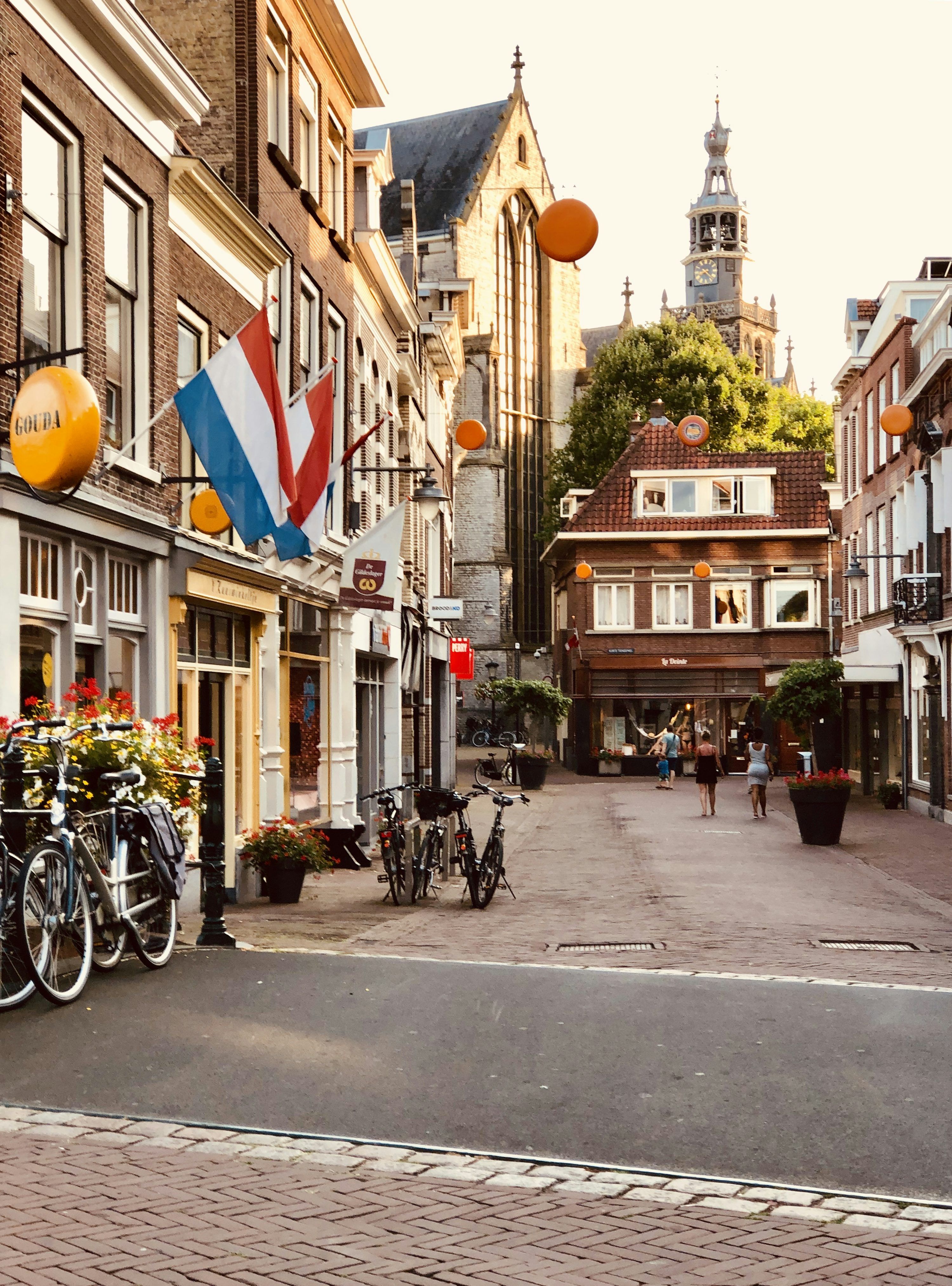 3000x4051 Gouda Picture. Download Free Image