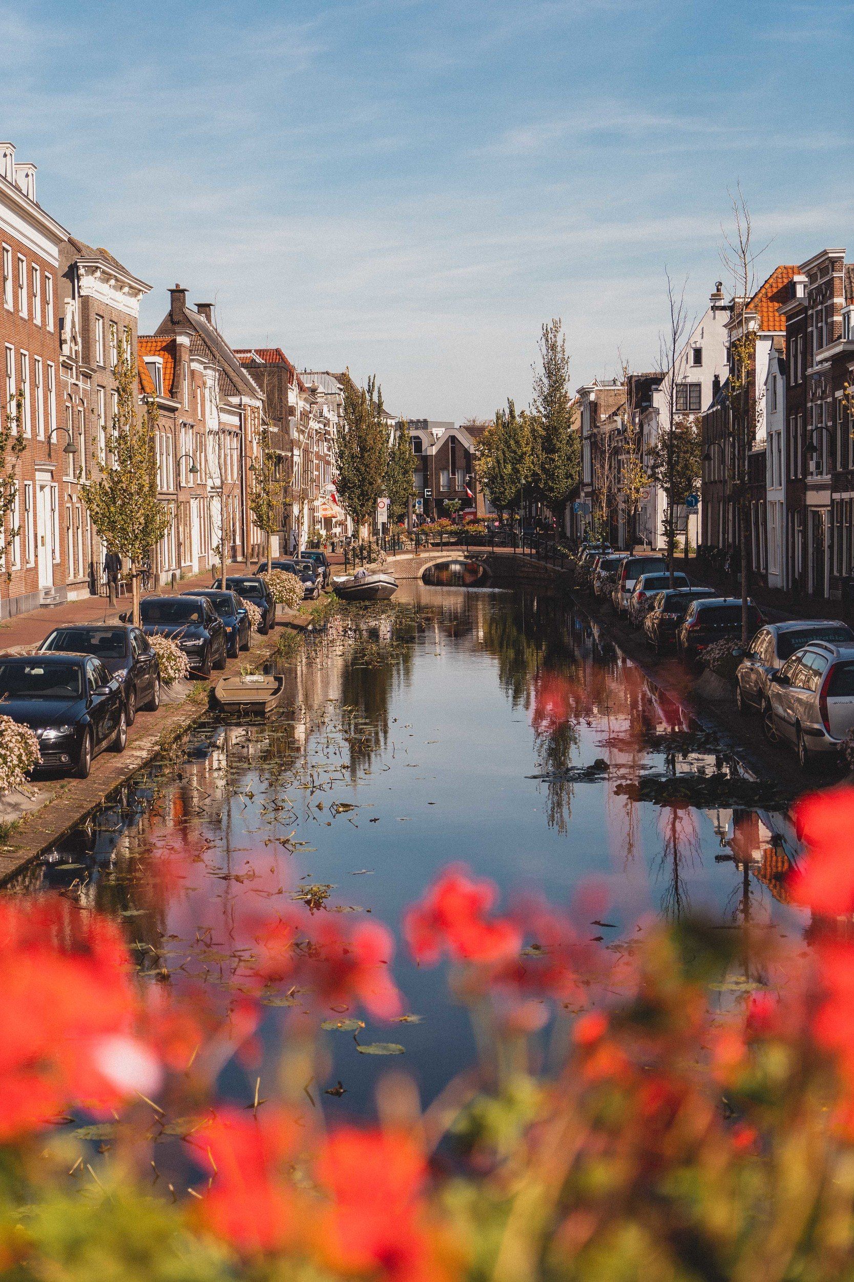 1667x2500 A Guide to the Best Things to do in Gouda (2024 Attractions)