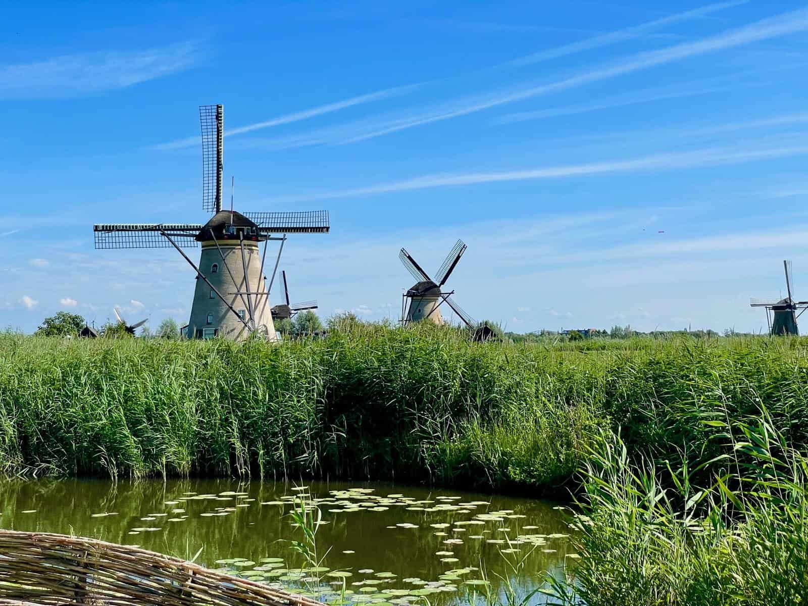 1600x1200 Savoring Gouda in the Land of Wind and Water. culture: the word on cheese