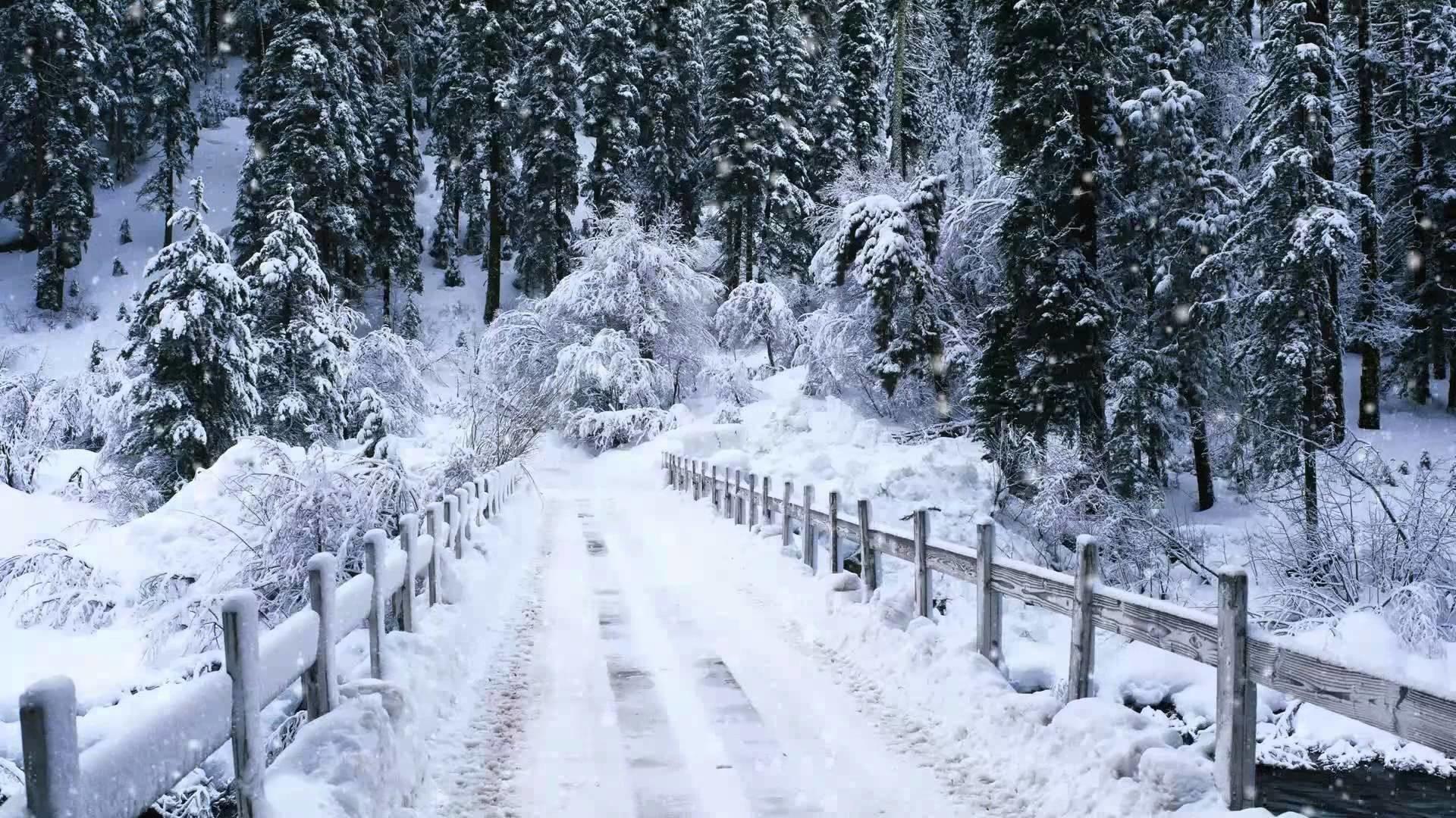 1920x1080 Snowy Desktop Background
