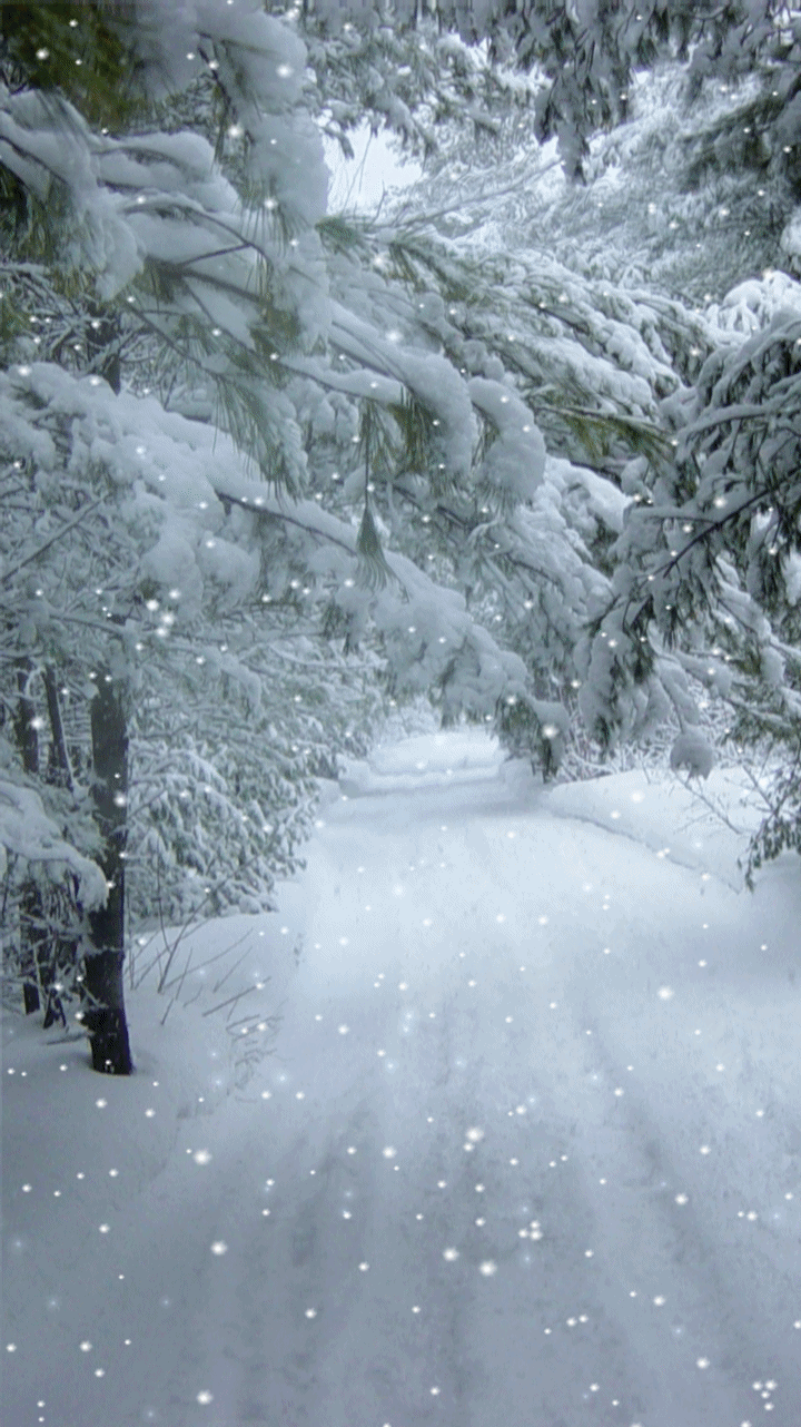 720x1282 winter live wallpaper. Snowfall wallpaper, Live wallpaper, Best home screen wallpaper
