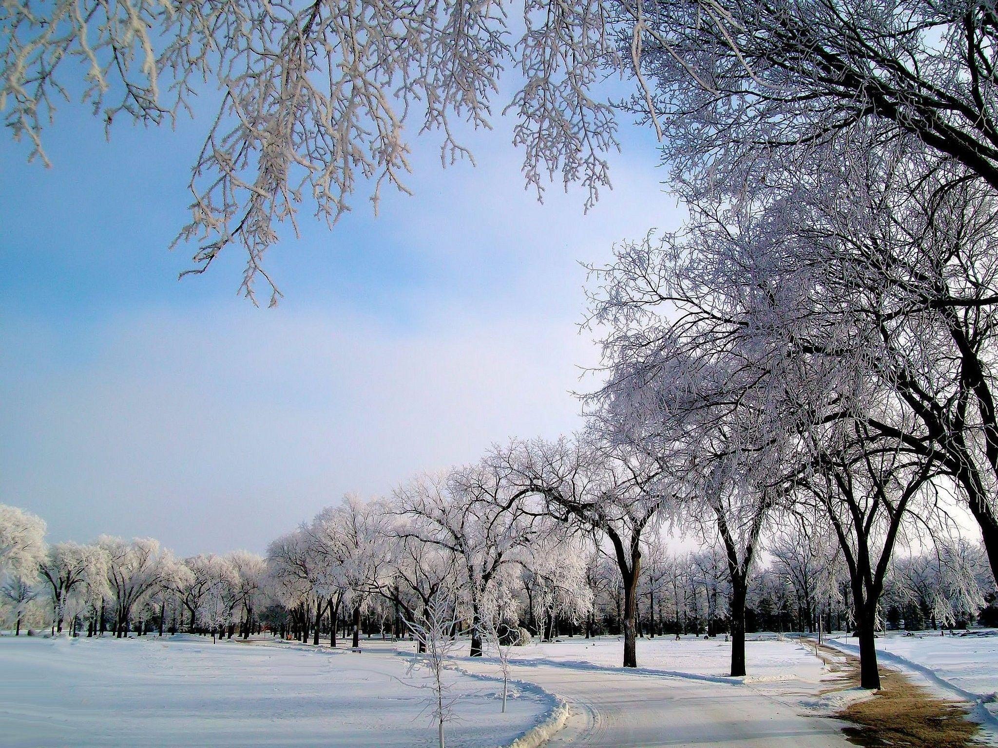 2048x1536 Landscape, Fresh, Nature, Snow, winter, android, Free, Landscape