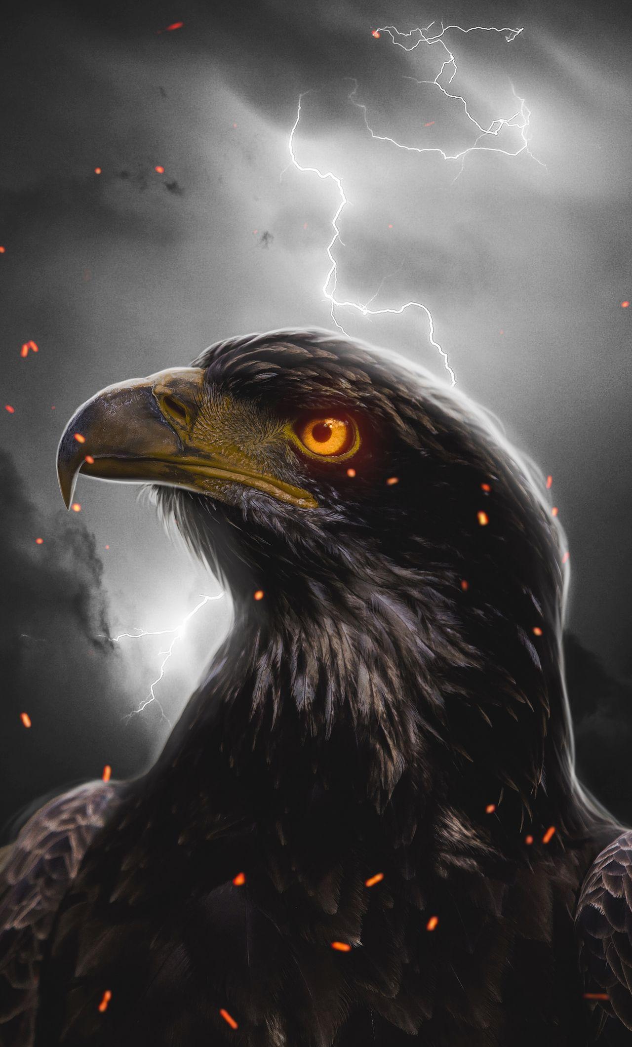 iPhone Eagle Wallpapers Top Free iPhone Eagle Backgrounds