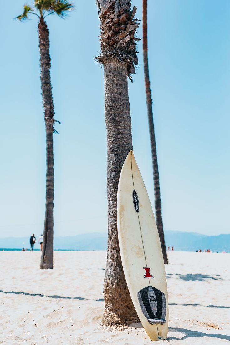 735x1103 Surf's Up you ready for an adventure in the ocean with your