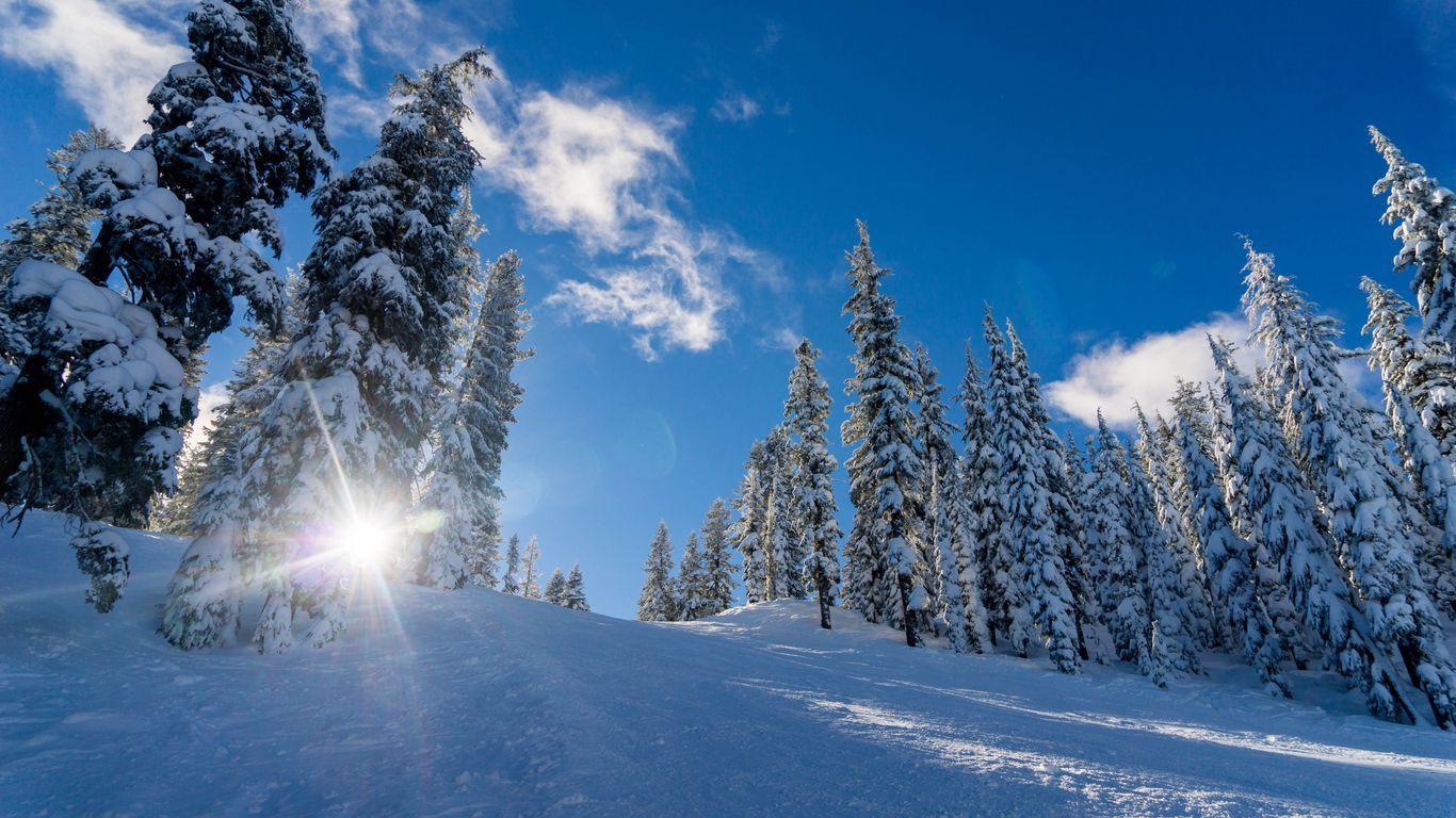 1366x768 Download wallpaper 1366x768 winter, snow, sunlight, trees tablet