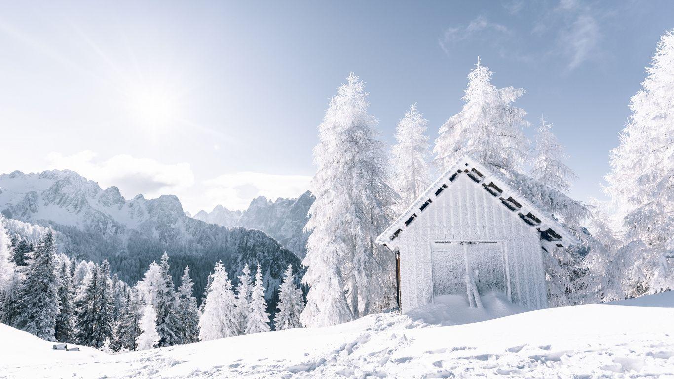 1366x768 Winter, Landscape, Forest, White Tree, Snowfrost, Hut