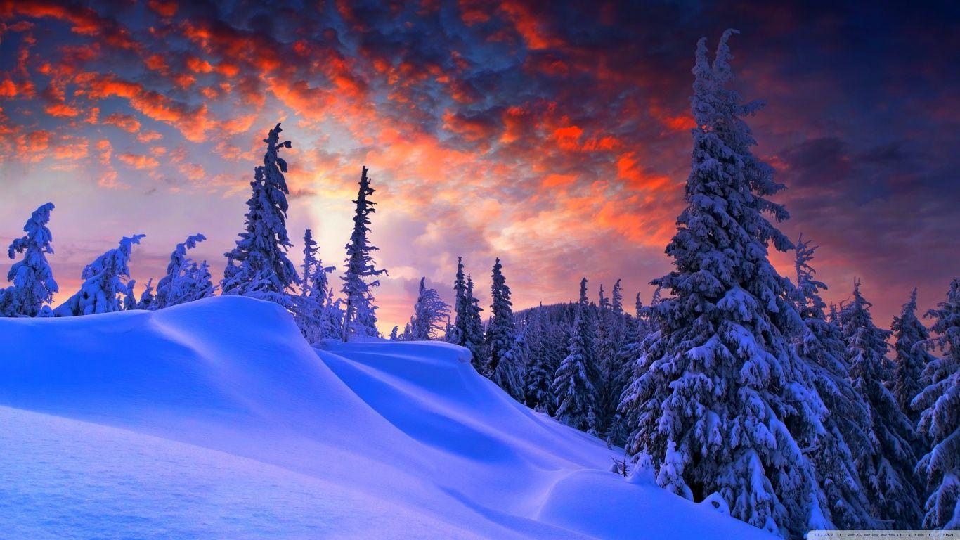 1366x768 Free download Winter christmas wallpaper SF Wallpaper 1366x768