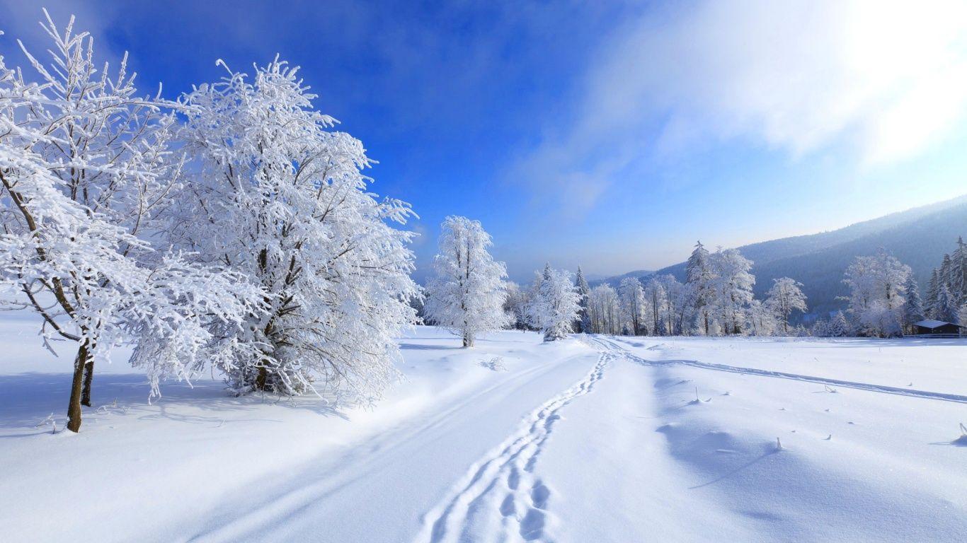 Winter 1366x768 HD wallpaper  Pxfuel