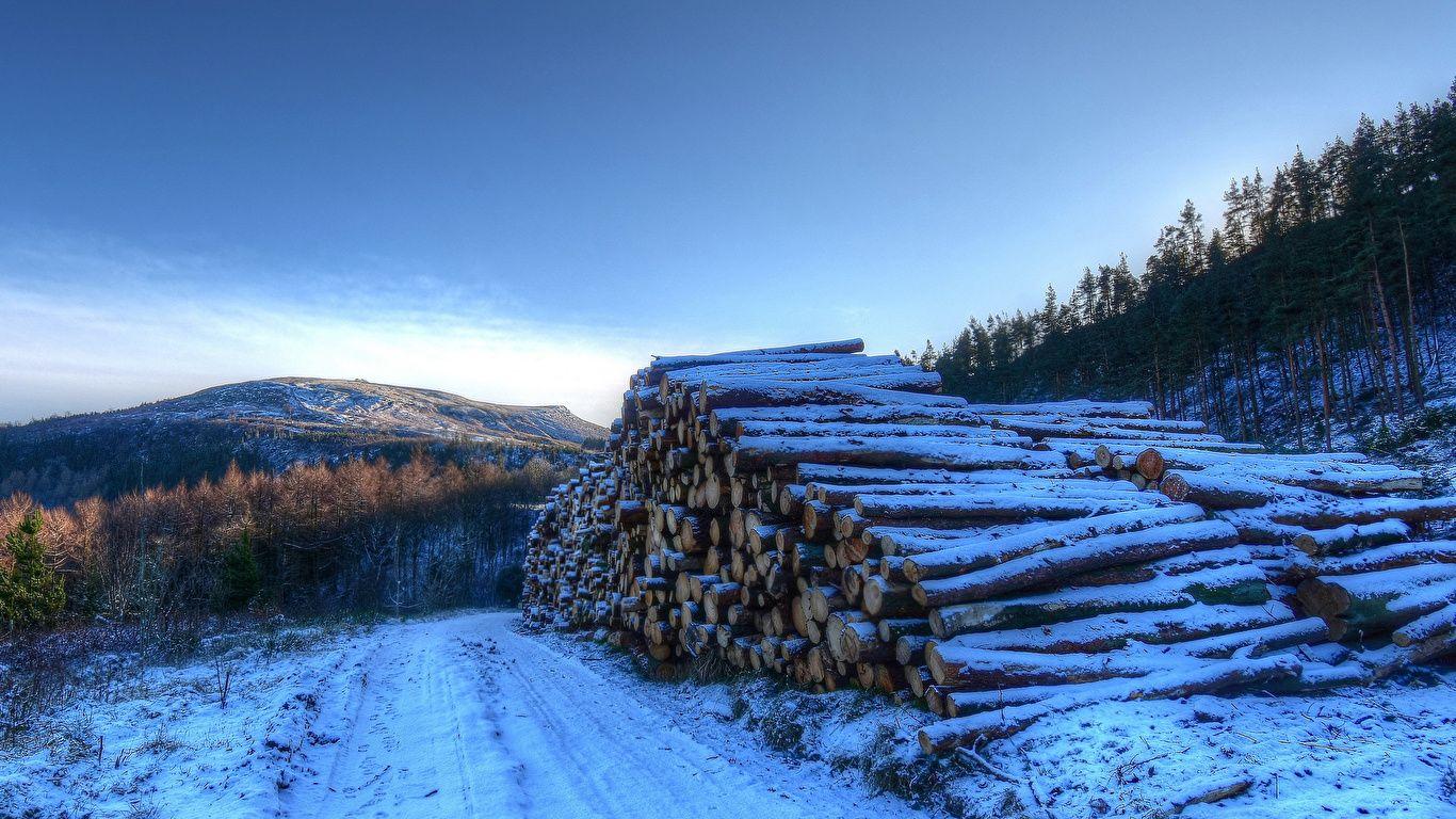 1366x768 Desktop Wallpaper England Yorkshire Winter Nature Wood log 1366x768
