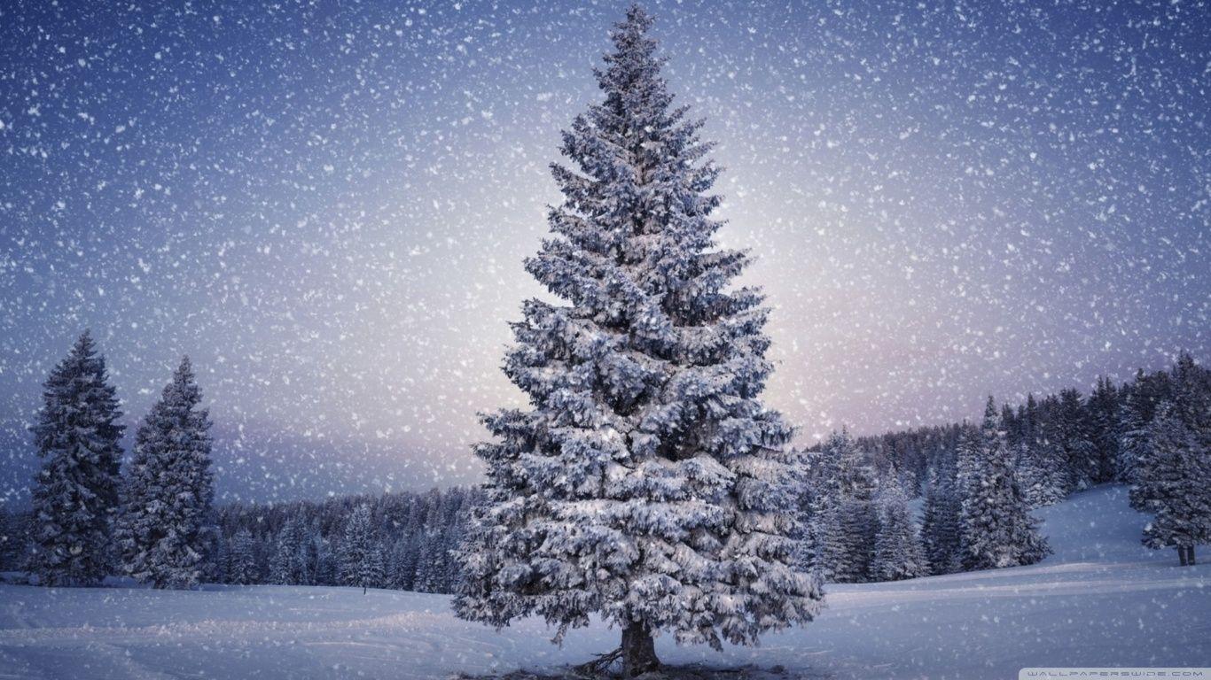 1366x768 Desktop Winter Wallpaper HD wallpaper HD Desktop Wallpaper