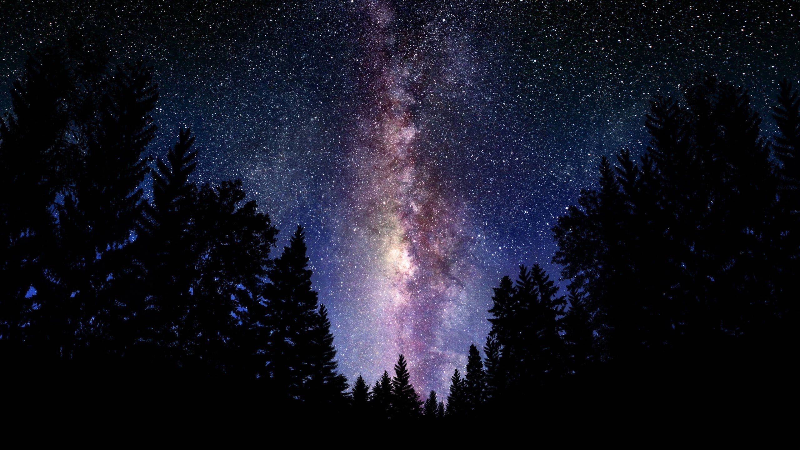 2560x1440 Overcoming Fear F.E.A.R. False Evidence Appearing Real