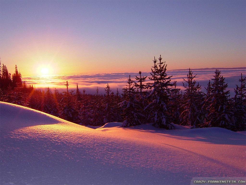 1024x768 Winter Sunset Wallpaper