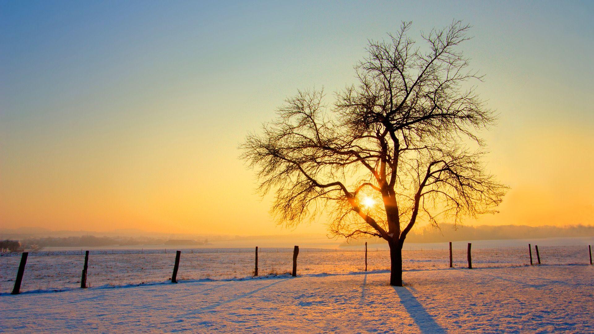 1920x1080 Winter Sunset HD Wallpaperx1080