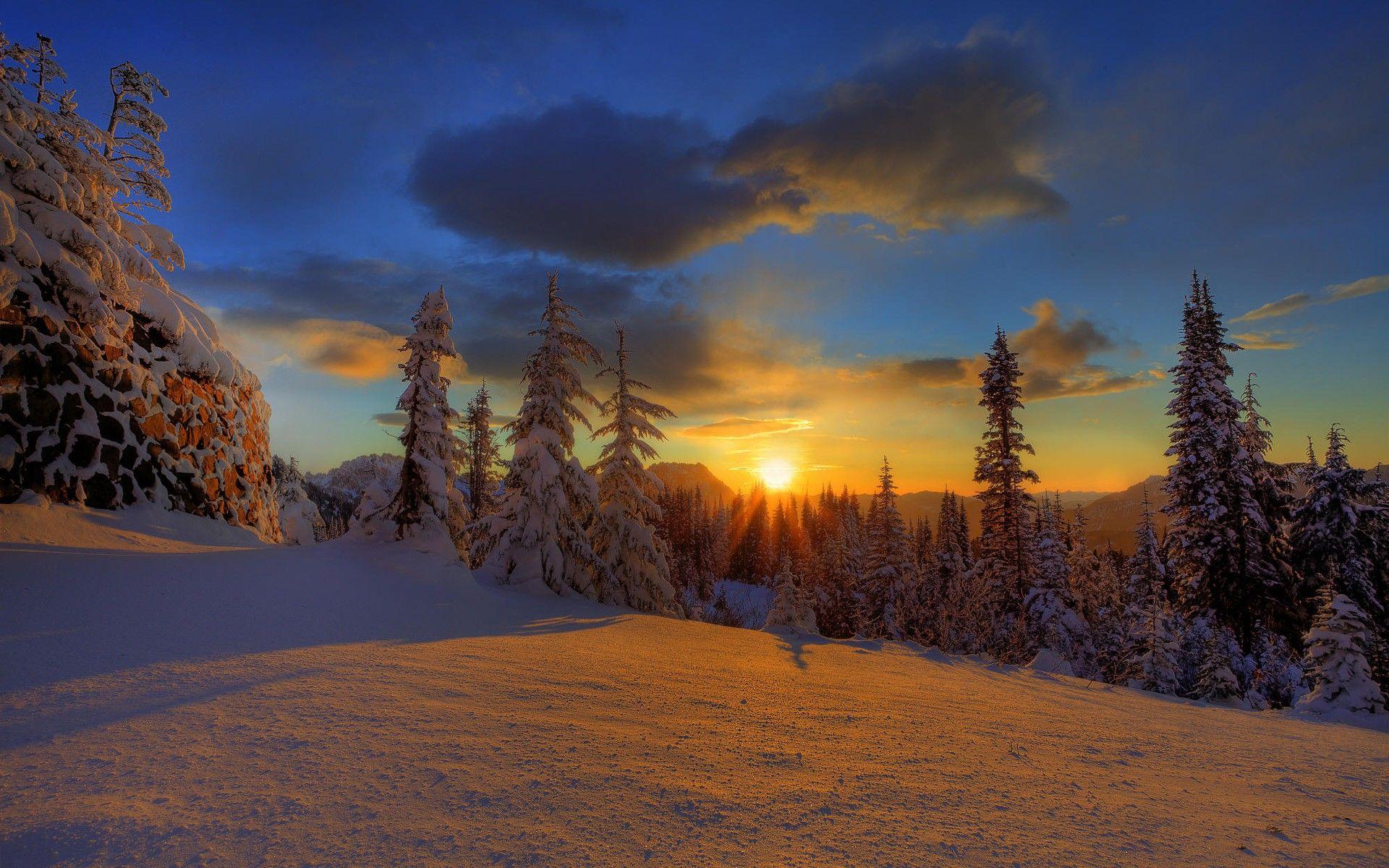 1920x1200 sunset, winter, forest wallpaper