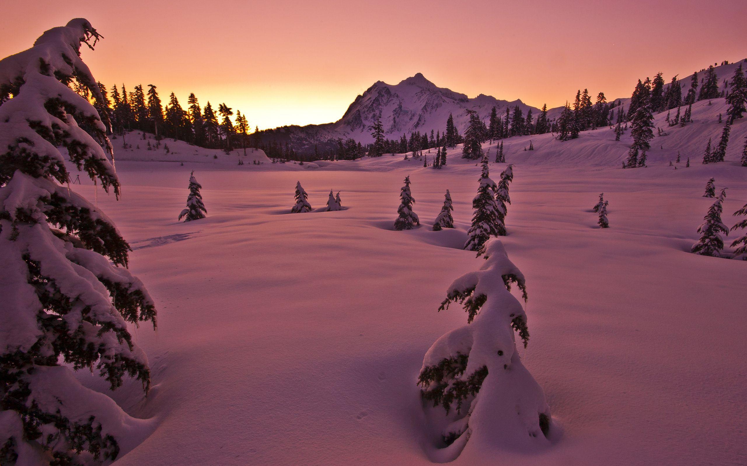 2560x1600 Sunset winter snow mountains trees landscape wallpaperx1600