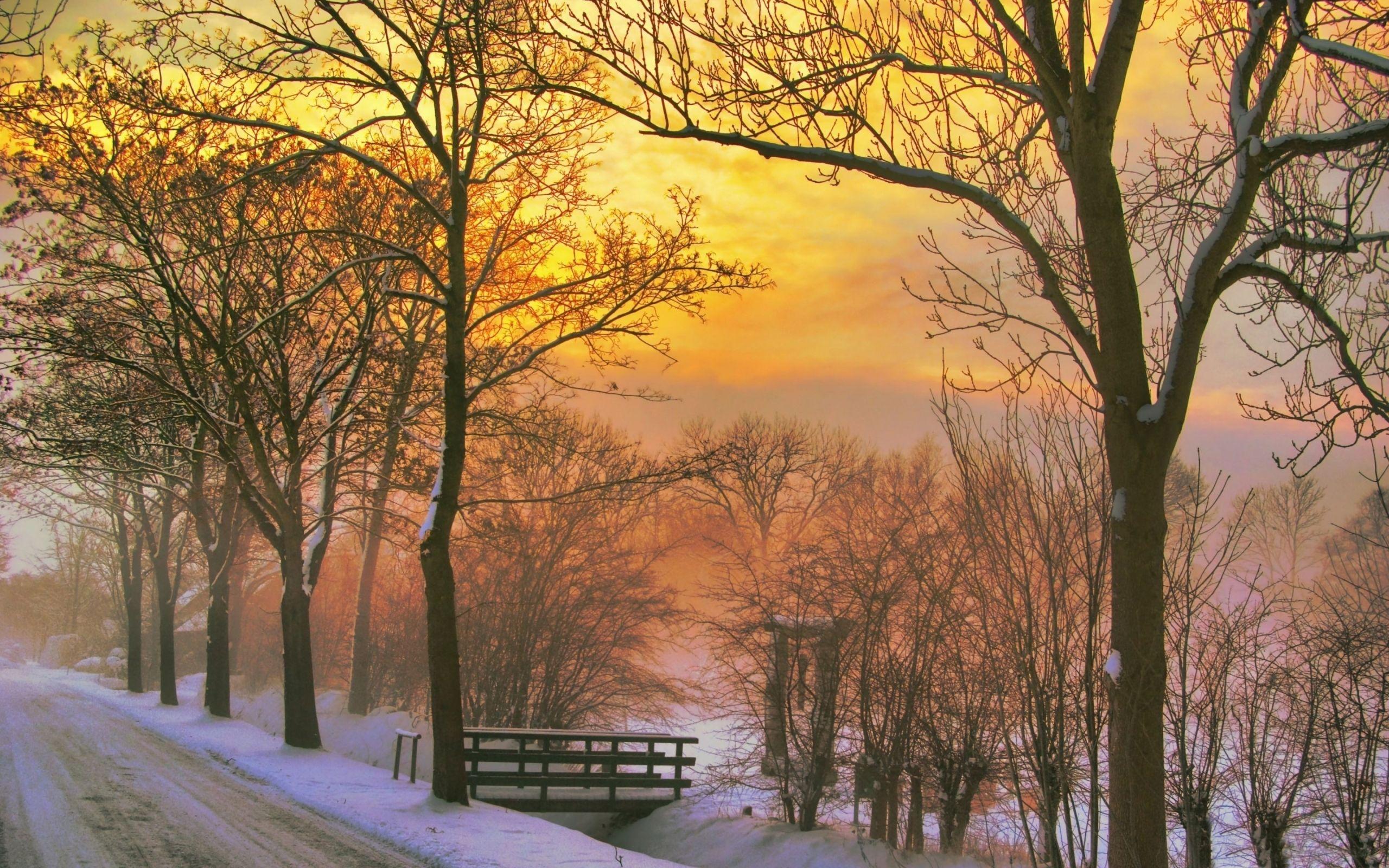 2560x1600 Best winter Mac Wallpaper Free HD Download