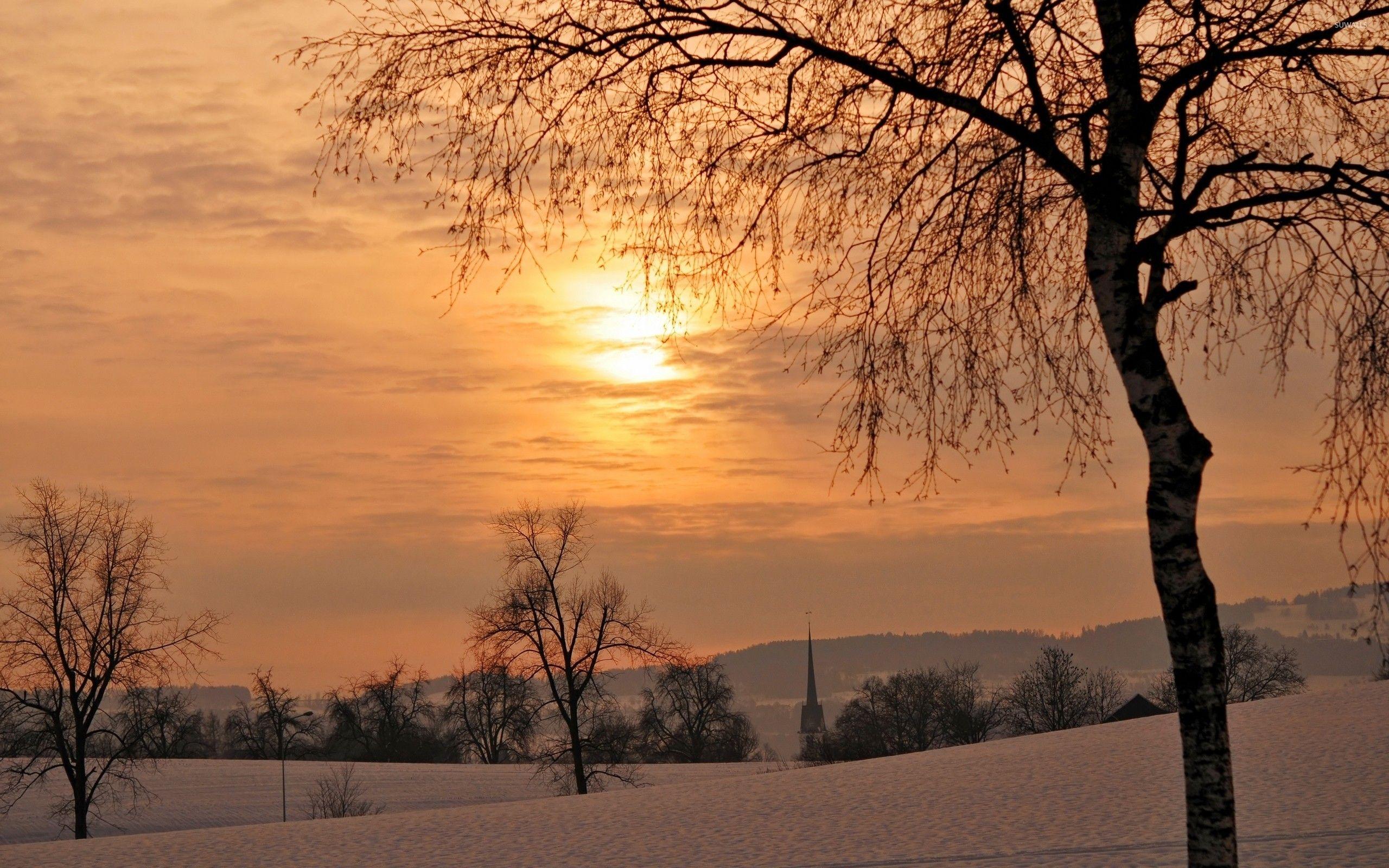 2560x1600 Golden winter sunset wallpaper wallpaper