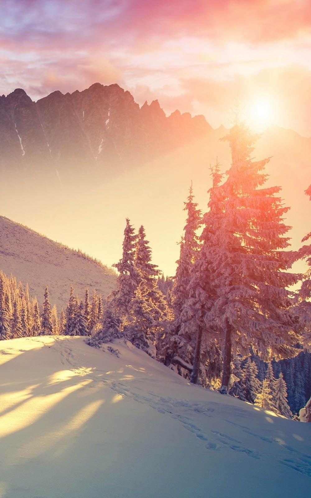 1000x1600 Sunset Winter Shadows Free HD Mobile Wallpaper
