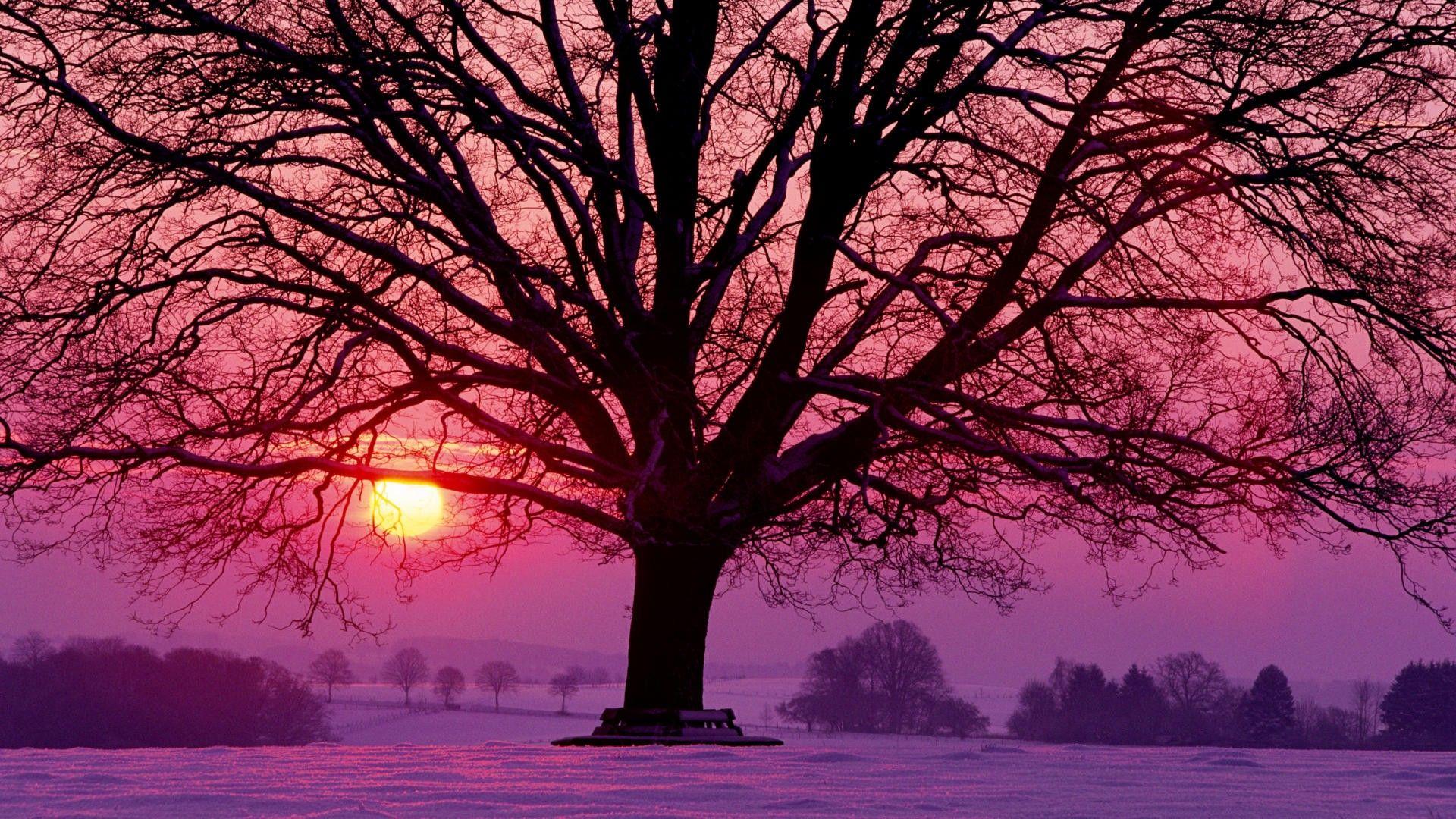 1920x1080 Winter, wallpaper, sunset, germany, background, majestic