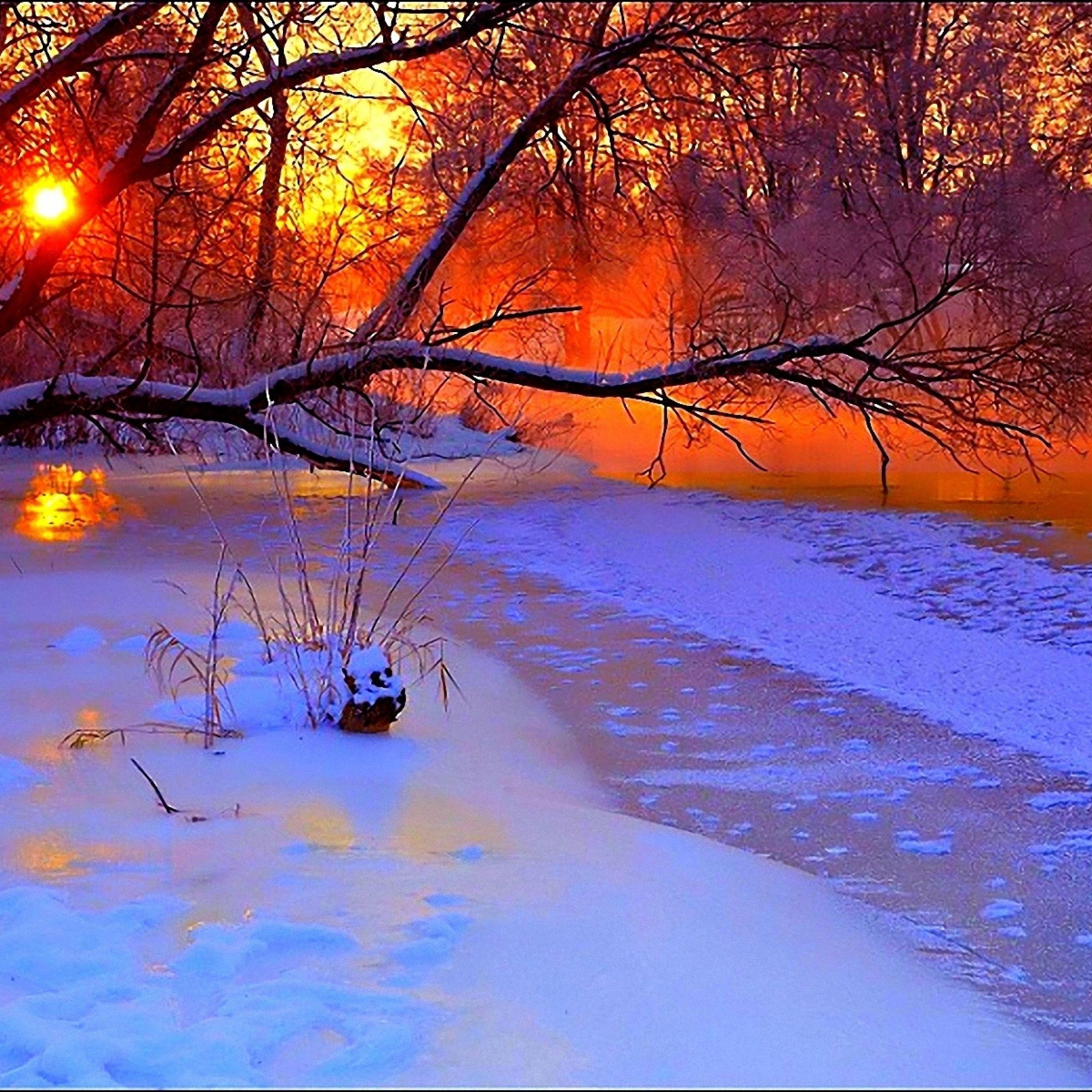 2732x2732 Winter sunset evening iPad Pro Wallpaper Free Download