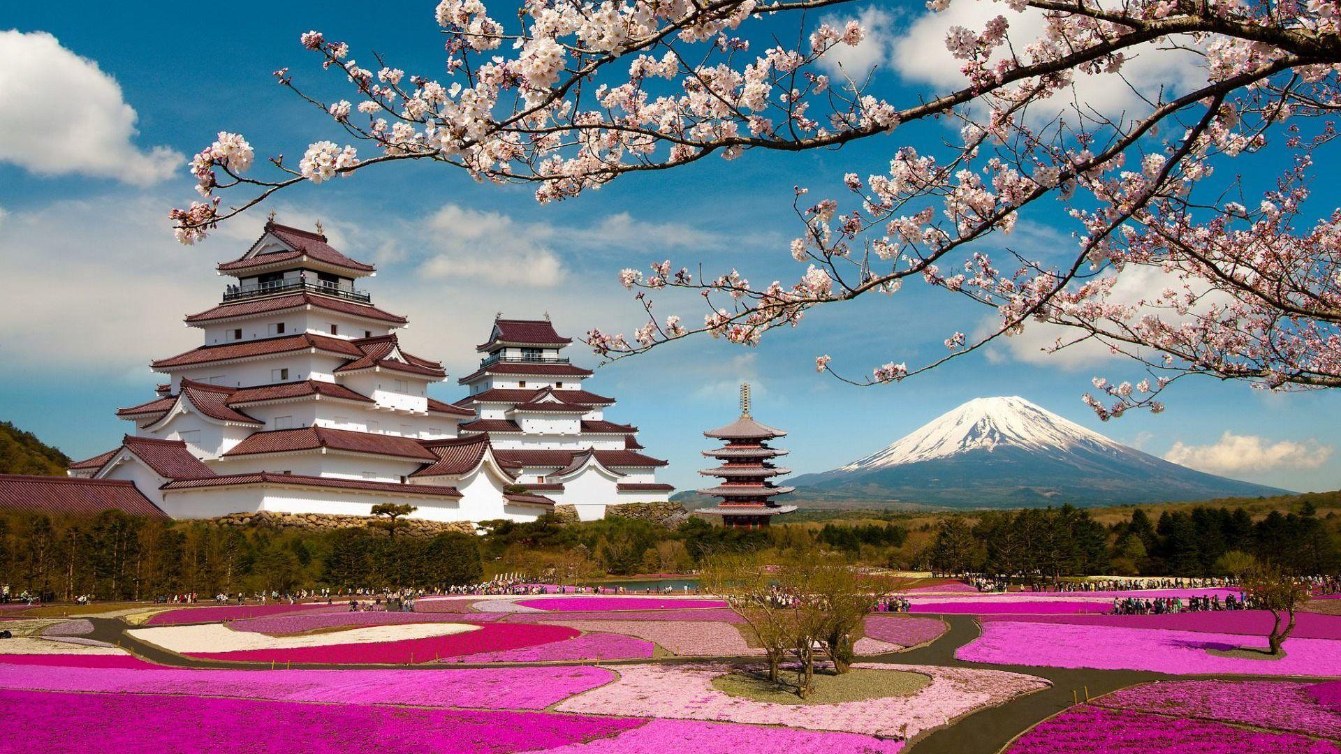 1920x1080 Parks Mountains Pagodas Sakura Volcano Branches Aizuwakamatsu