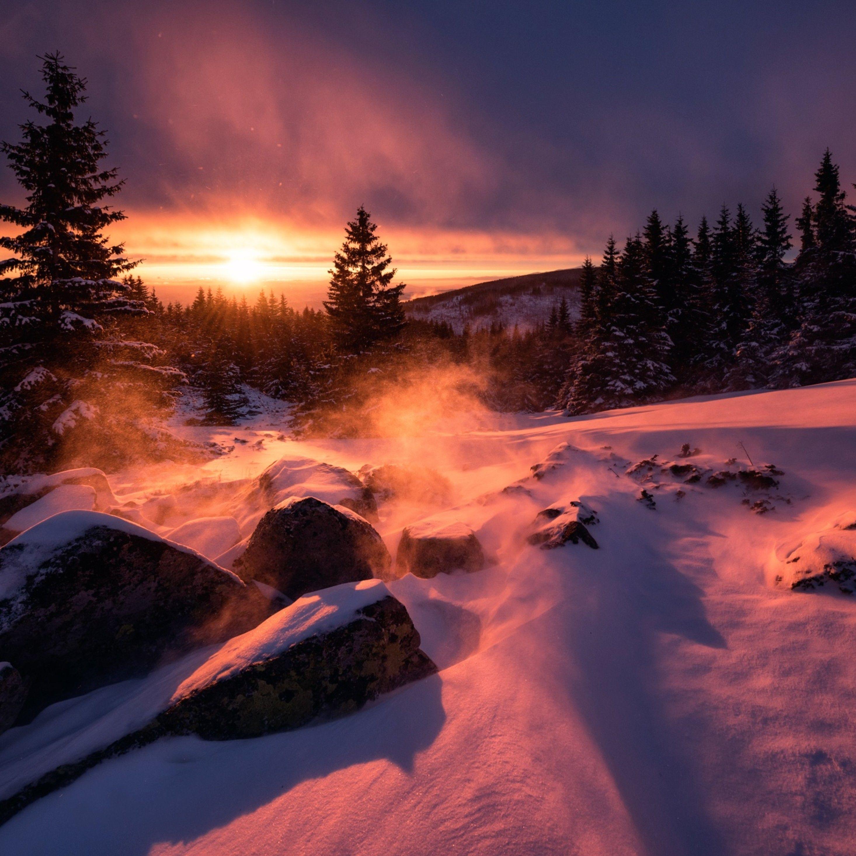 2932x2932 Winter Snow Sunset iPad Pro Retina Display HD 4k