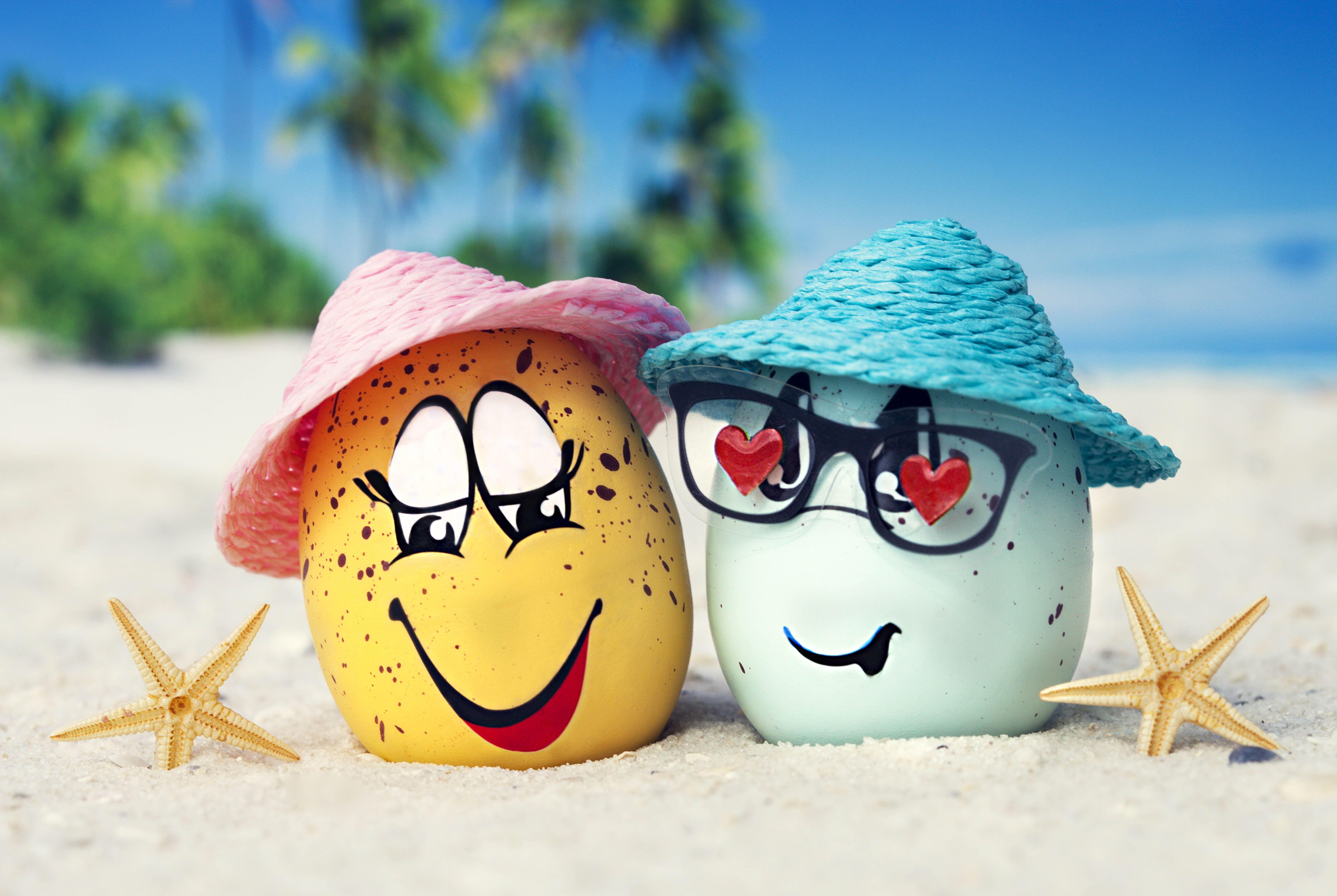 6000x4022 Some Beautiful HD Summer Wallpaper (High Quality) HD Wallpaper