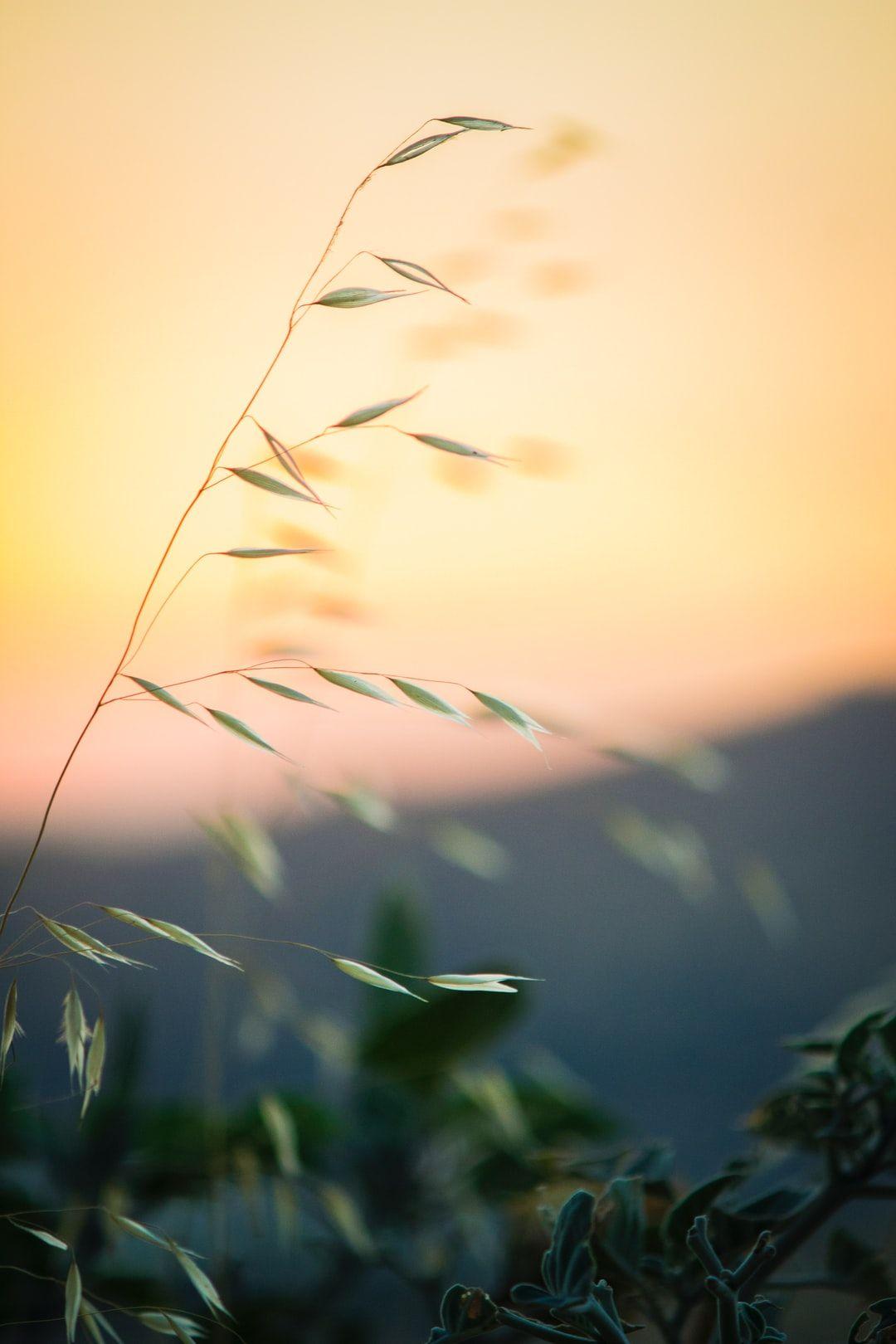 1080x1620 Calm Wallpaper best free wallpaper, calm, green and blue