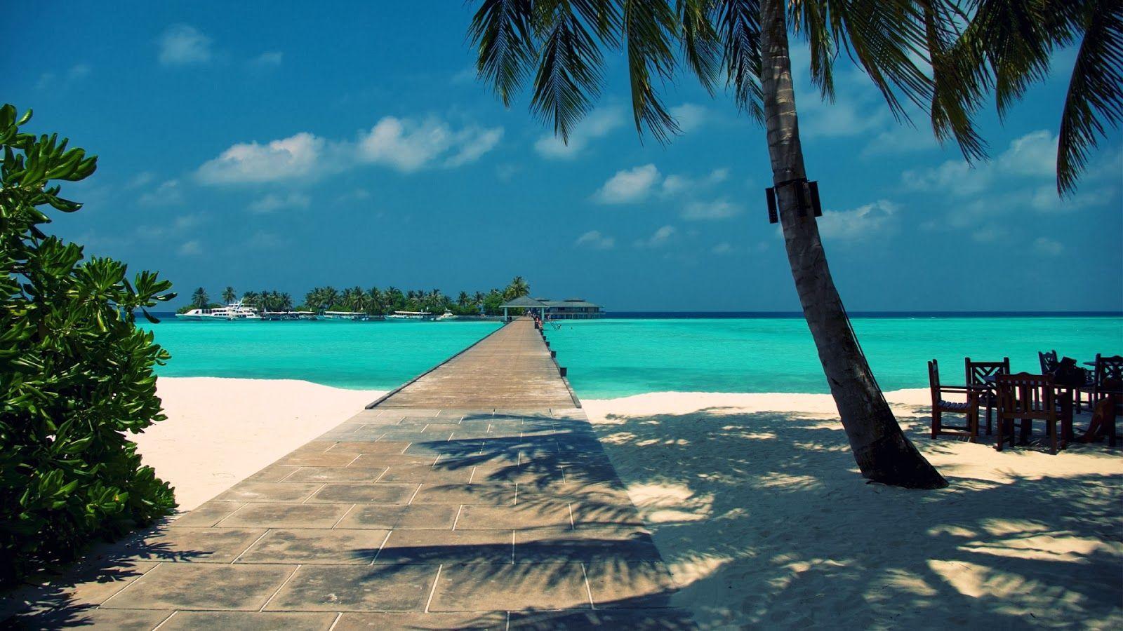 1600x900 Free download HD Wallpaper 1080p Summer Mobile wallpaper