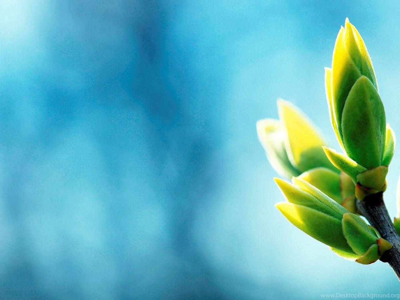 1400x1050 Calming Wallpaper FullHDWpp Full HD Wallpaper 1920x1080