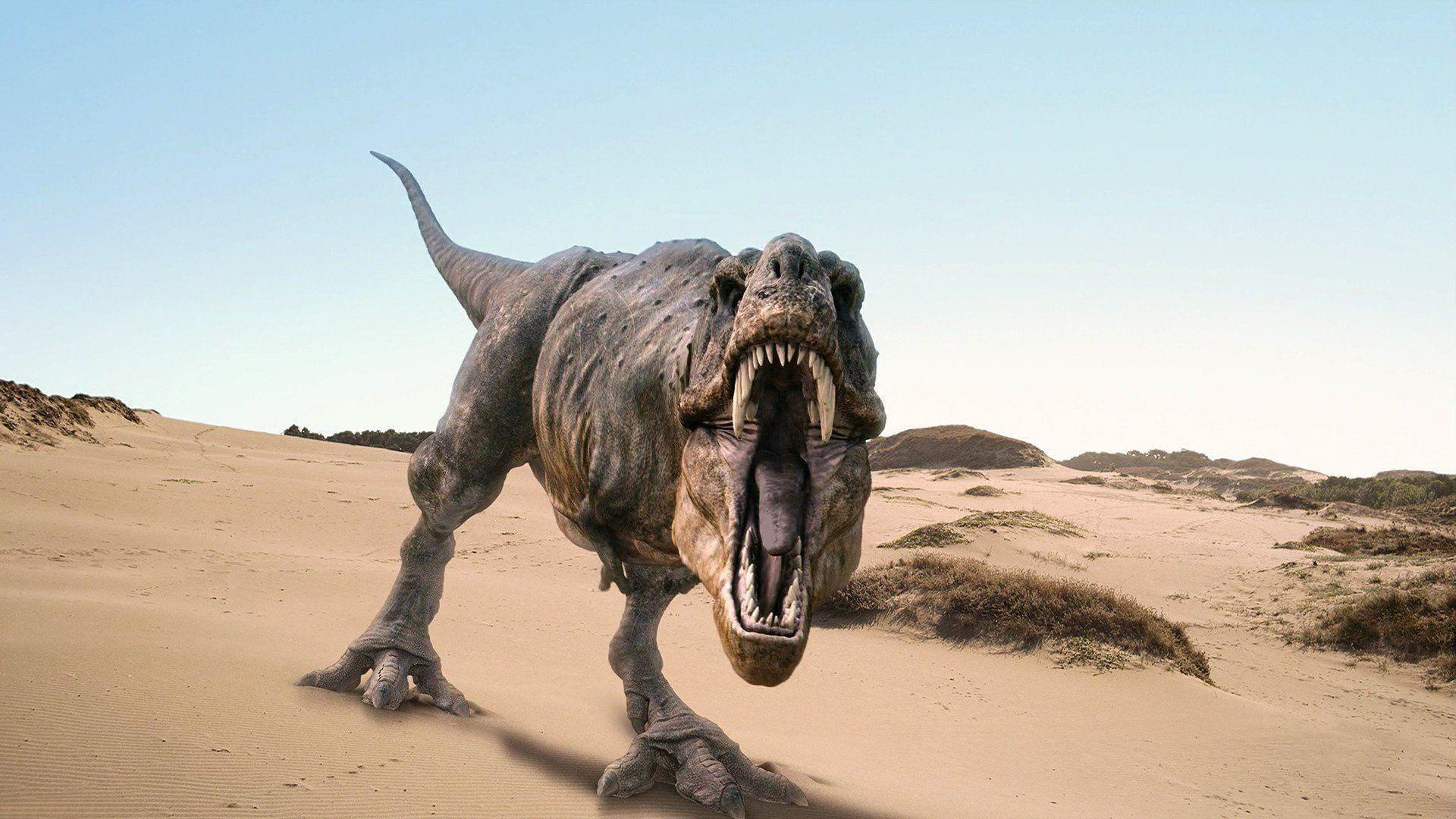 1920x1080 digital art x1080 #dinosaur ultra HD K K K #dinosaur dinosaur pics cute dinosaur P #wallpaper #hdwallpaper #desktop #dinosaurpics digital art #