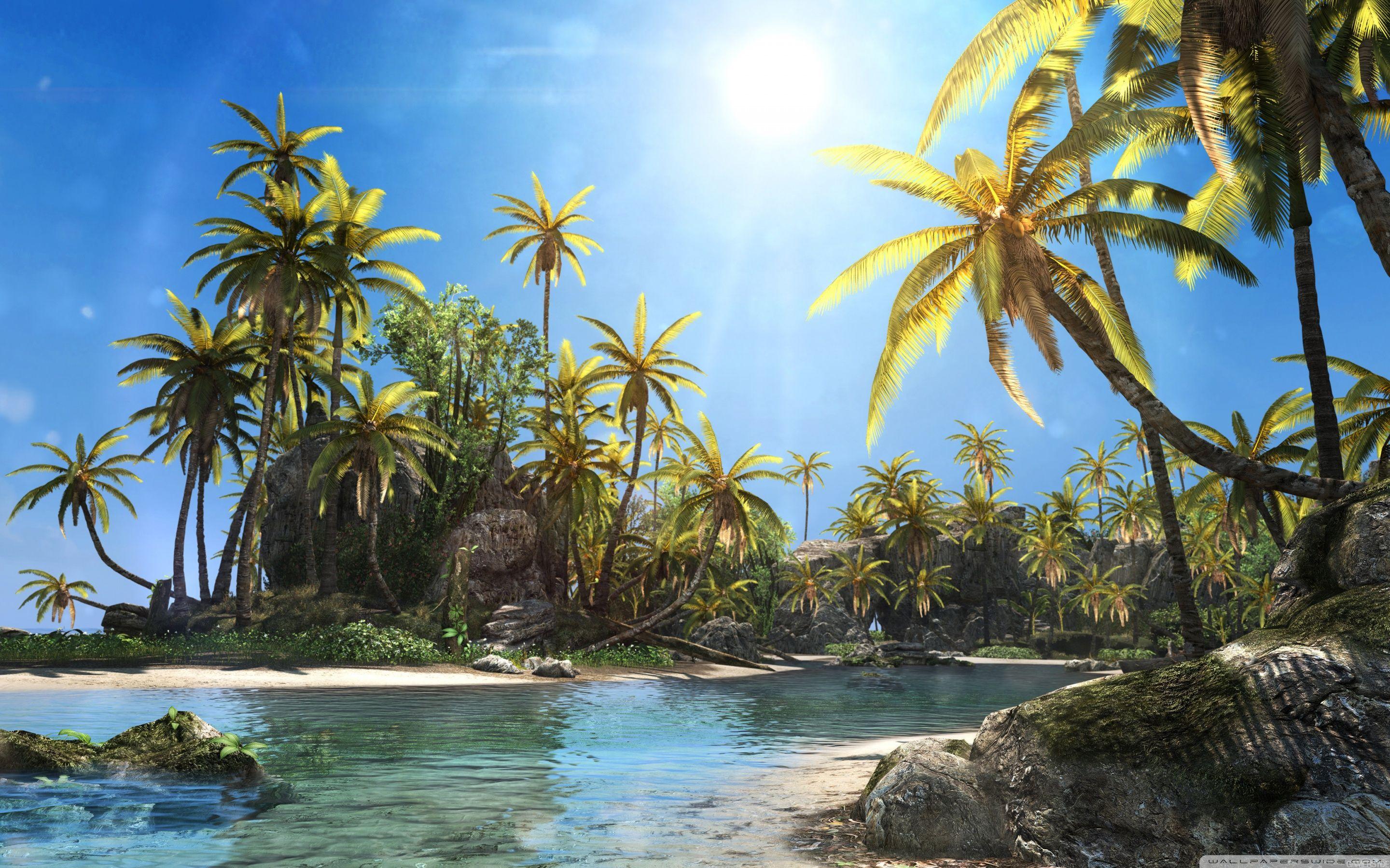 2880x1800 Assassin's Creed Black Flag Scenery Wallpaper