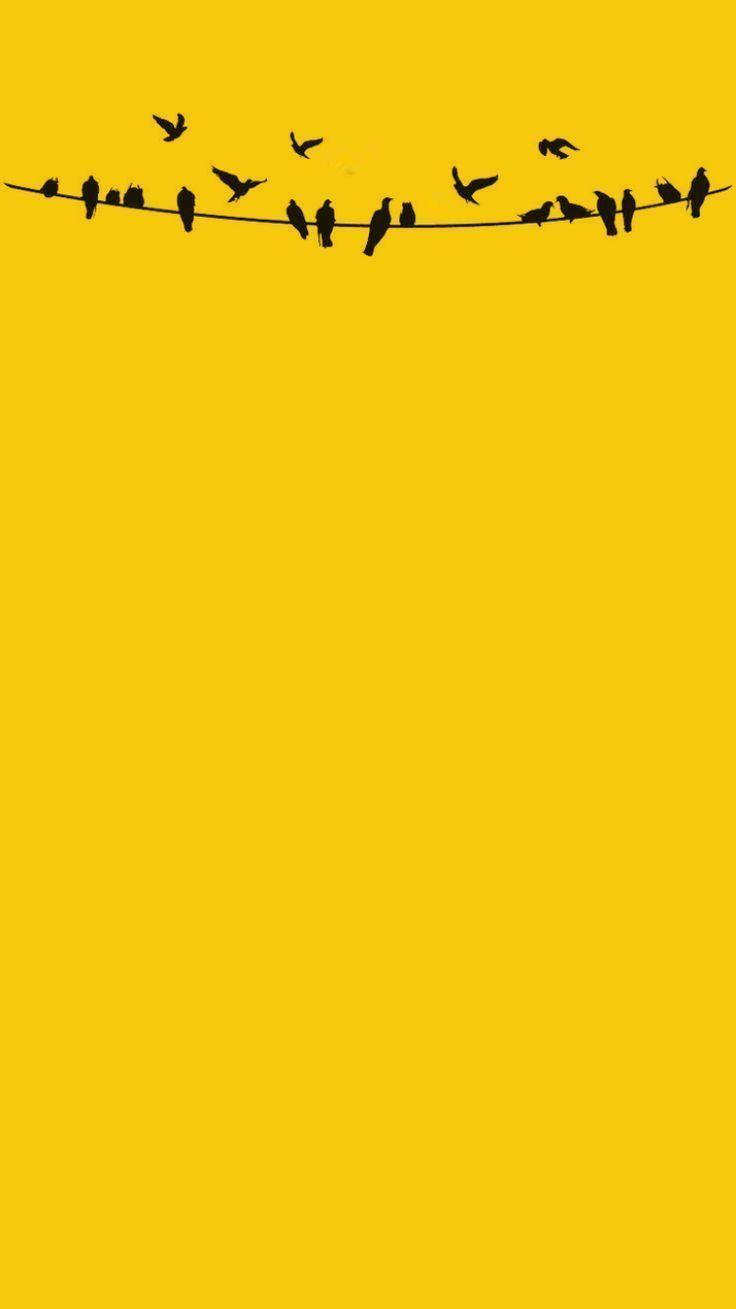 736x1309 This image has get 151 repins Author Alaya Aljabri Was ist