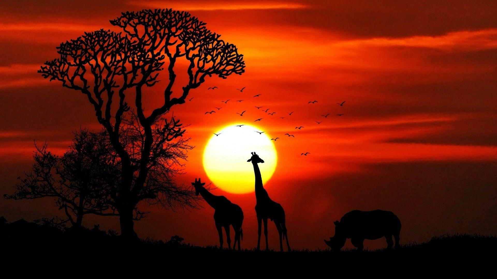 1920x1080 Download 1920x1080 Sunset, Giraffe, Rhino, Silhouette Wallpaper