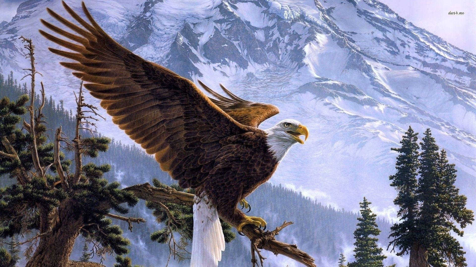 1920x1080 Great Wild Eagle Wallpaper HD 17. Eagle wallpaper